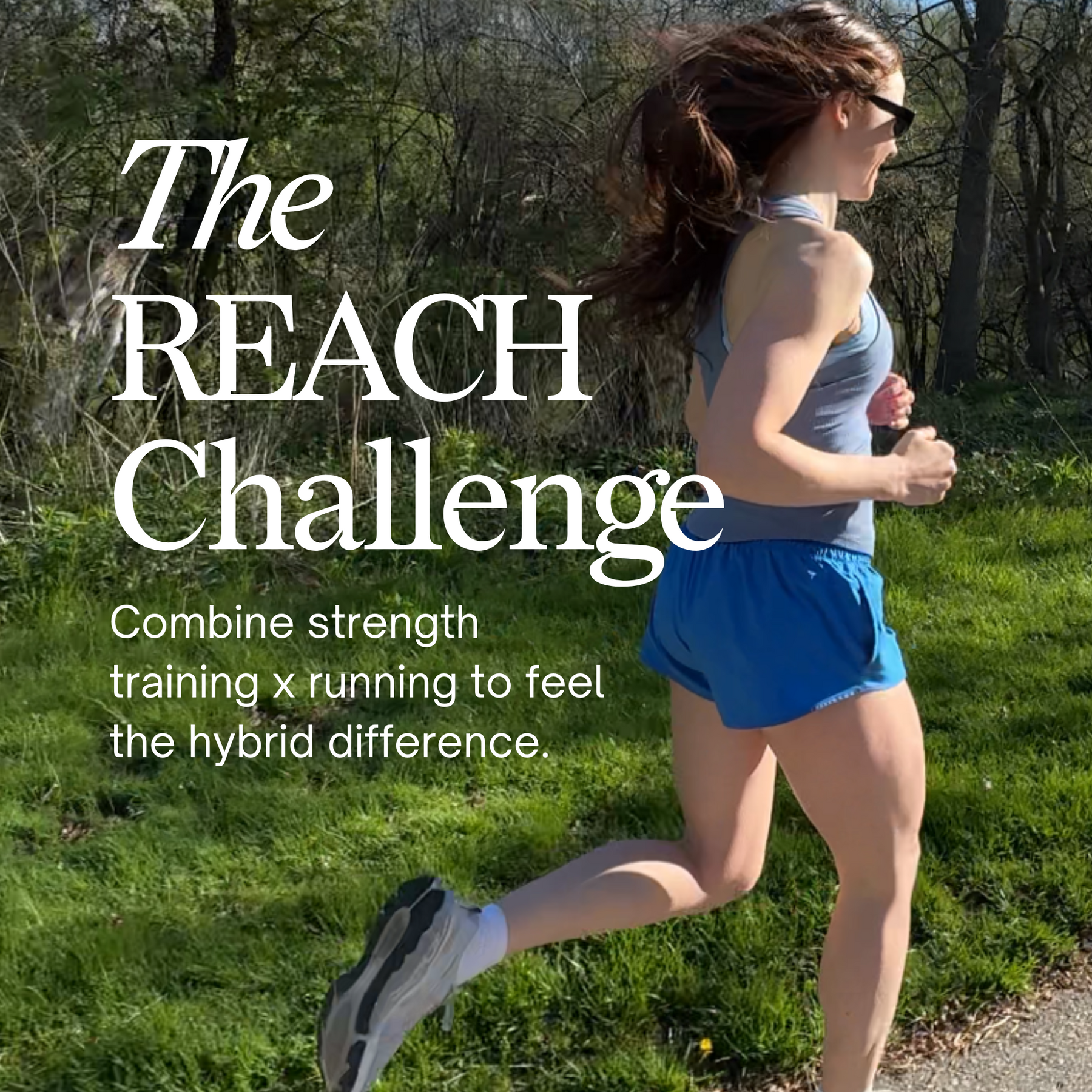 The Reach Challenge – The Team Plans - Main Image